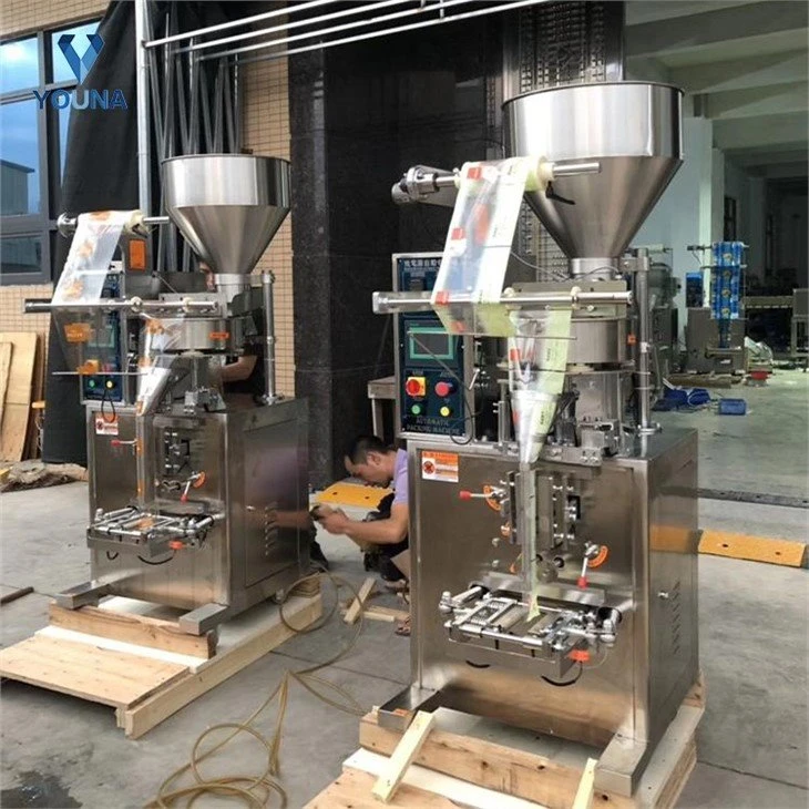 automatic salt packing machine (4)